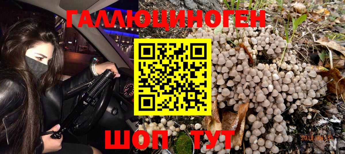 Псилоцибиновые грибы мицелий Красноуфимск